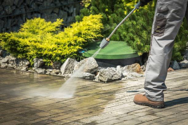 Best Solar Panel Cleaning  in Fort Wright, KY
