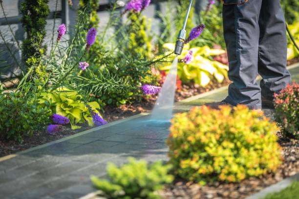 Reliable Fort Wright, KY  Pressure Washing Services Solutions